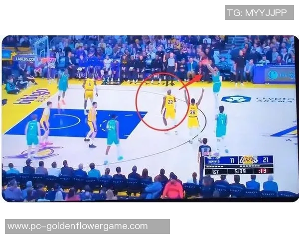 湖人对阵黄蜂精彩视频直播全程回顾与赛后分析尽在这里